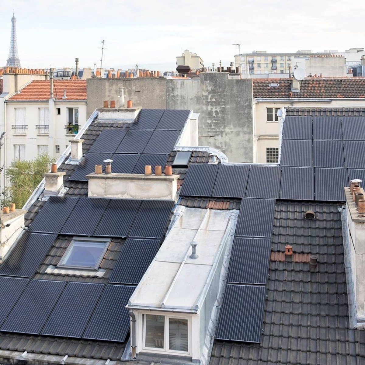 Panneau solaire Renov France