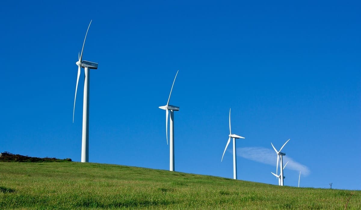 Classement des fournisseurs d'électricité verte