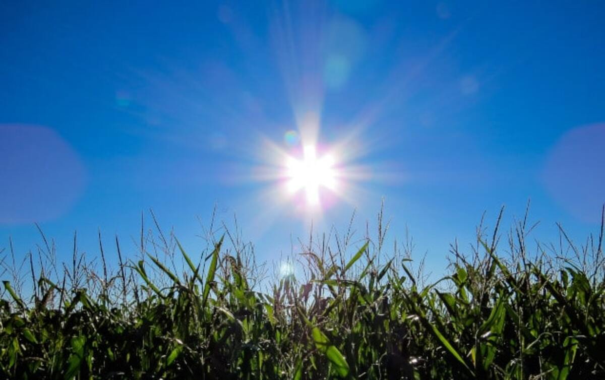EDF OA solaire soleil