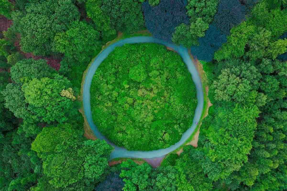 Les offres de Mint Energie