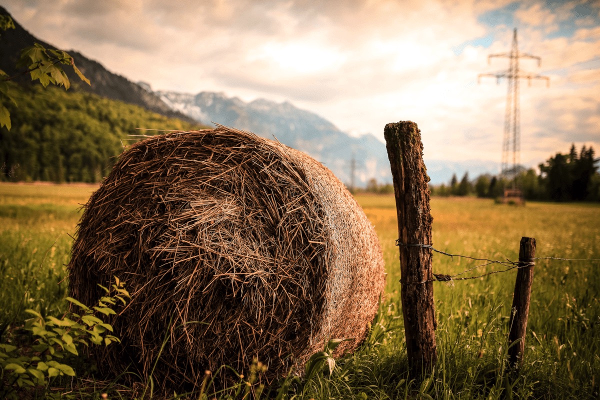 Les ELD de gaz naturel