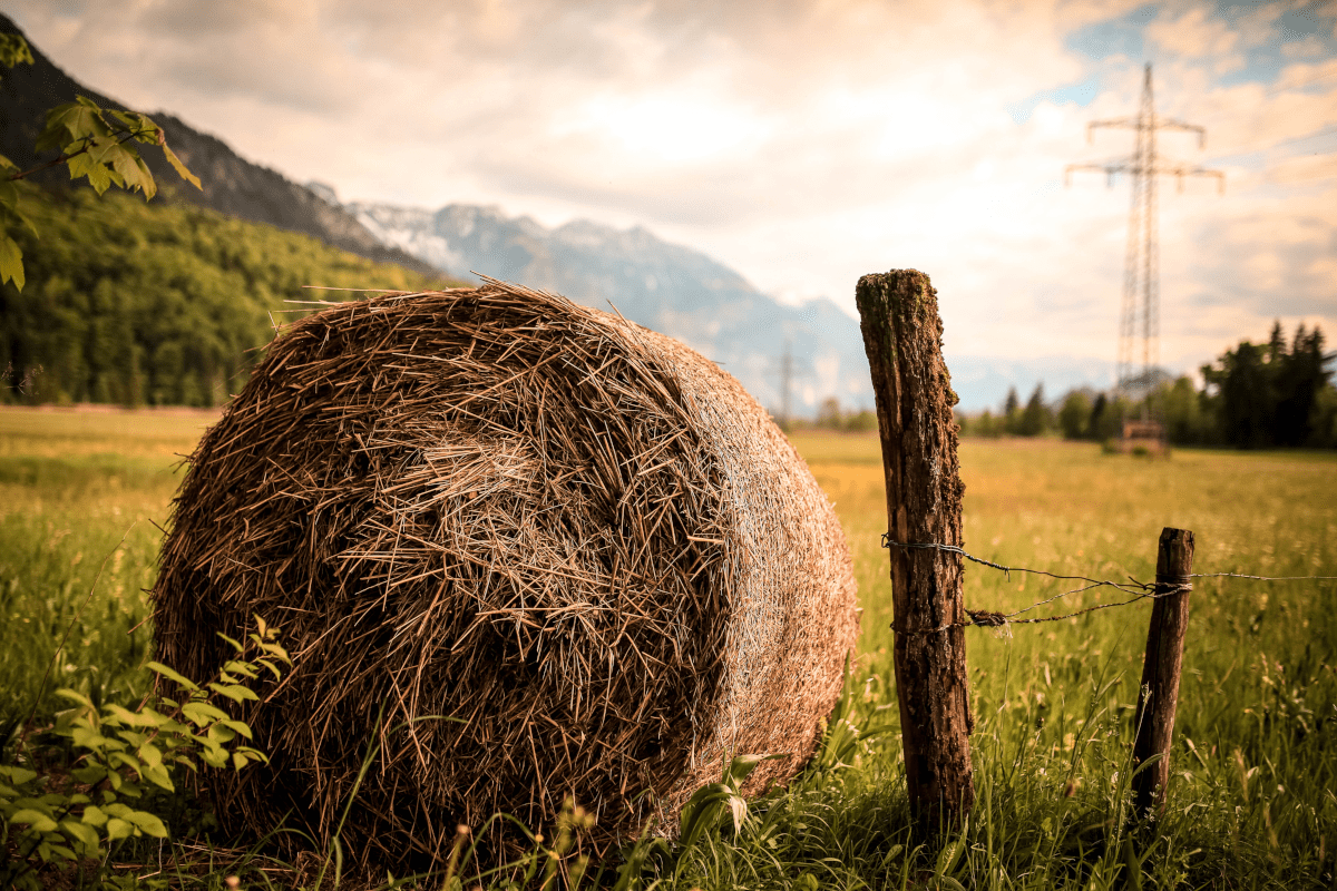 Les ELD de gaz naturel