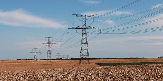Les entreprises locales de distribution pour l'électricité