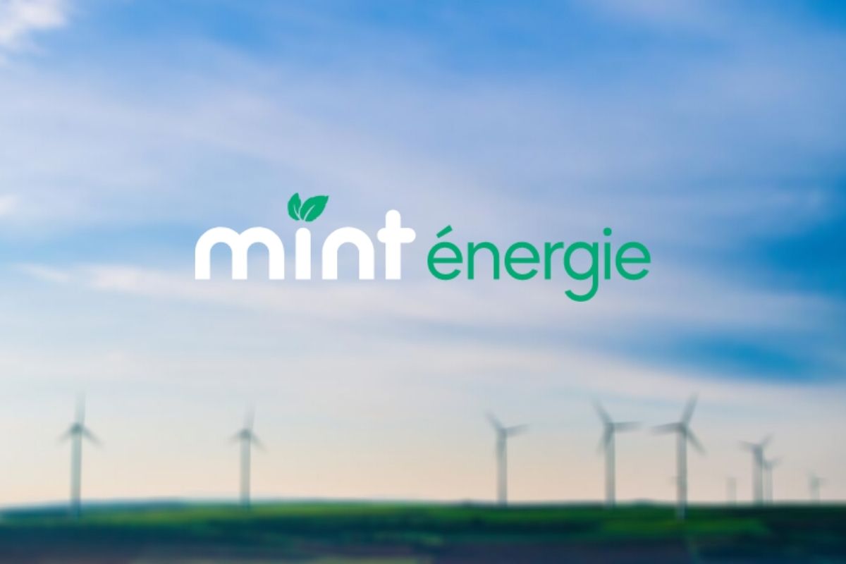 Mint Energie Offres, Tarifs 2022, Avis, Contact et Souscription