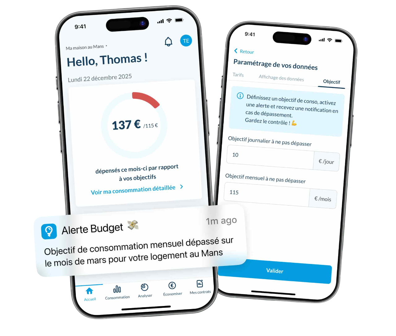 Hello Watt Home Assistant Alerte conso